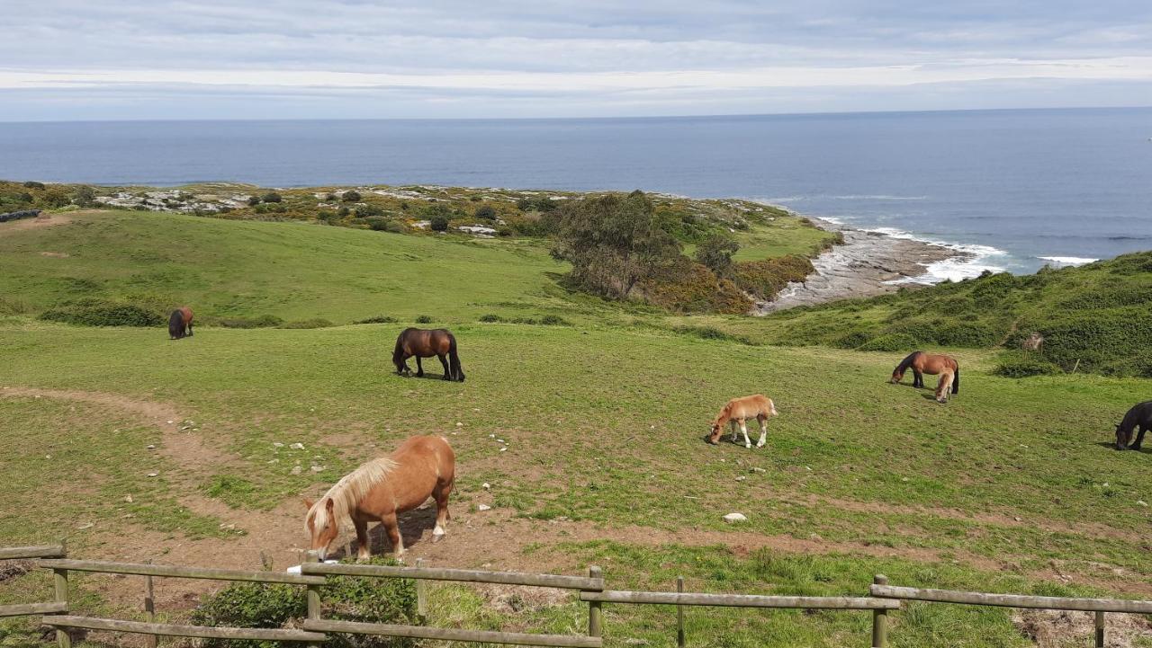 Posada Punta Linera San Vicente De La Barquera Luaran gambar